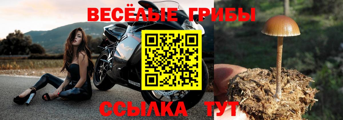 Галлюциногенные грибы Cubensis Воткинск