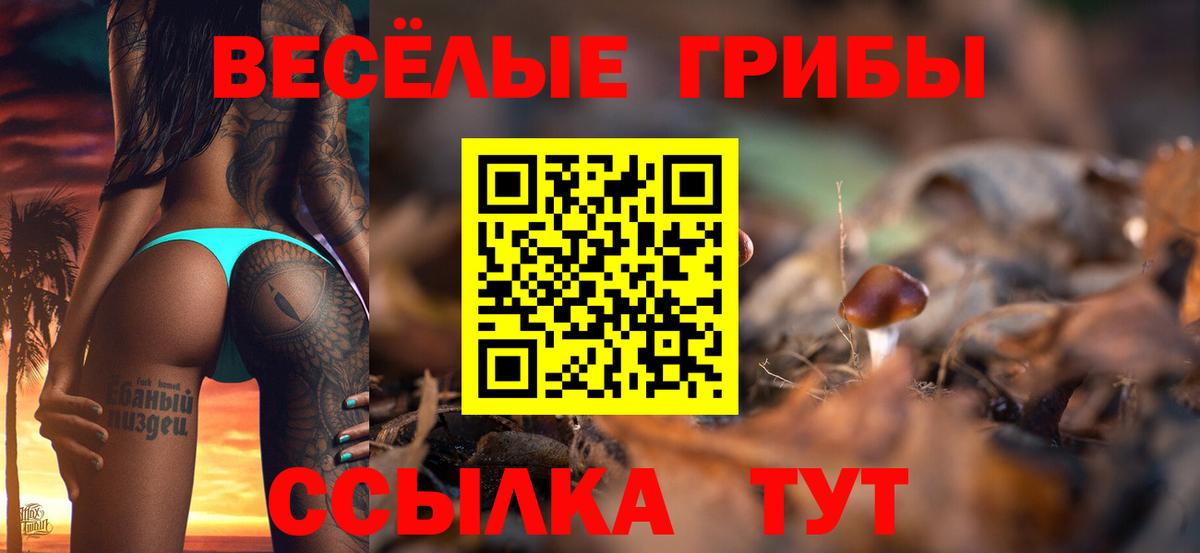 Воткинск  Галлюциногенные грибы прущие грибы  Псилоцибиновые грибы прущие грибы  Вход с VPN 
